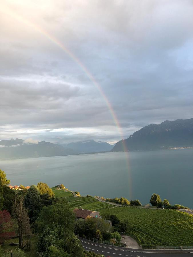 Room With 360° View Overlooking Lake Geneva And Alps Puidoux Экстерьер фото
