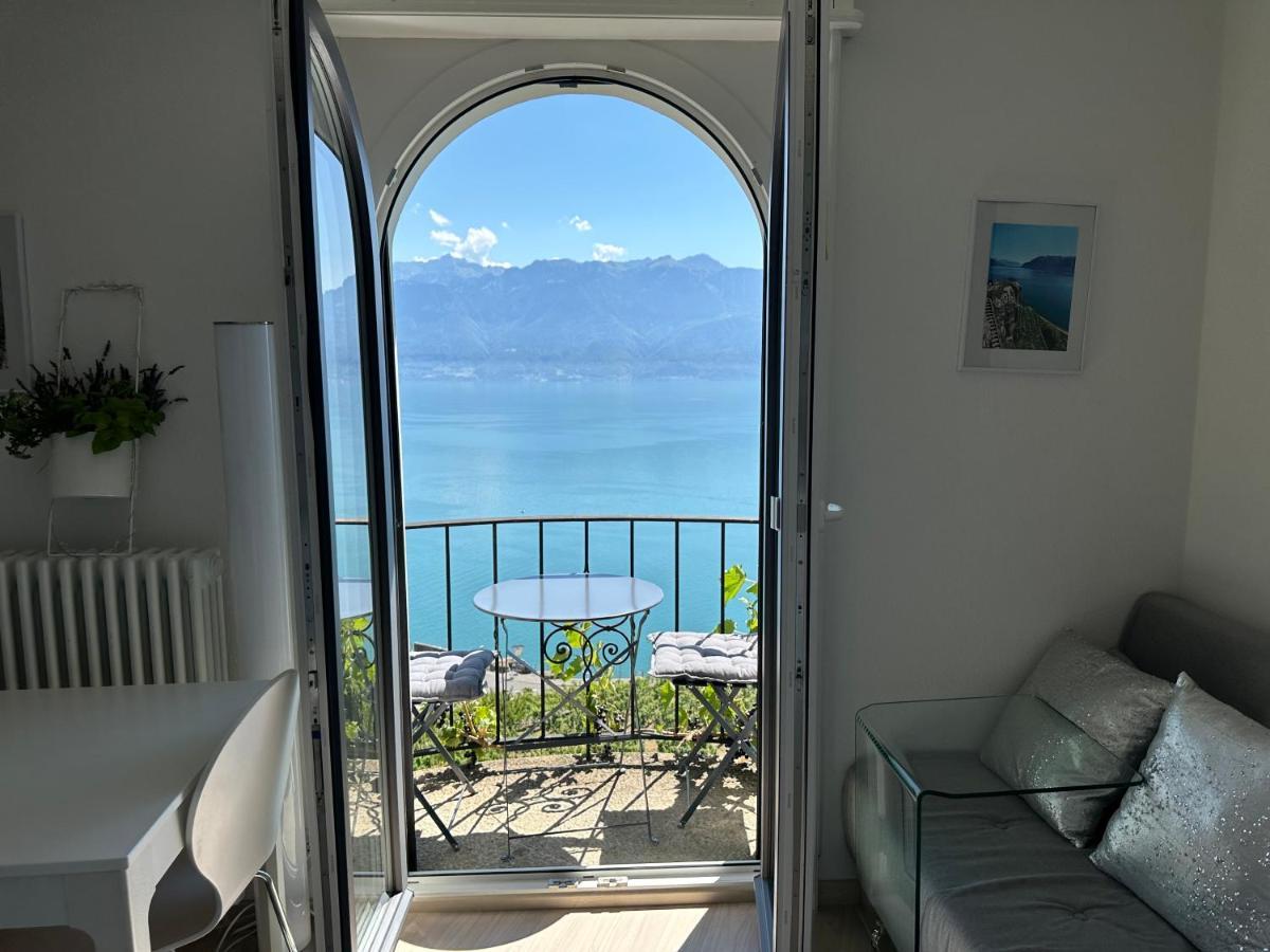 Room With 360° View Overlooking Lake Geneva And Alps Puidoux Экстерьер фото